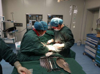 强劲需求推动全球代孕业务，格鲁吉亚和墨西哥领先