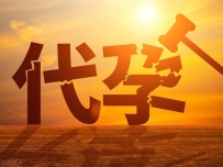 日本代孕中的亲子关系