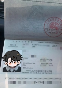 泰国代孕全流程梳理，最快10个月抱婴！
